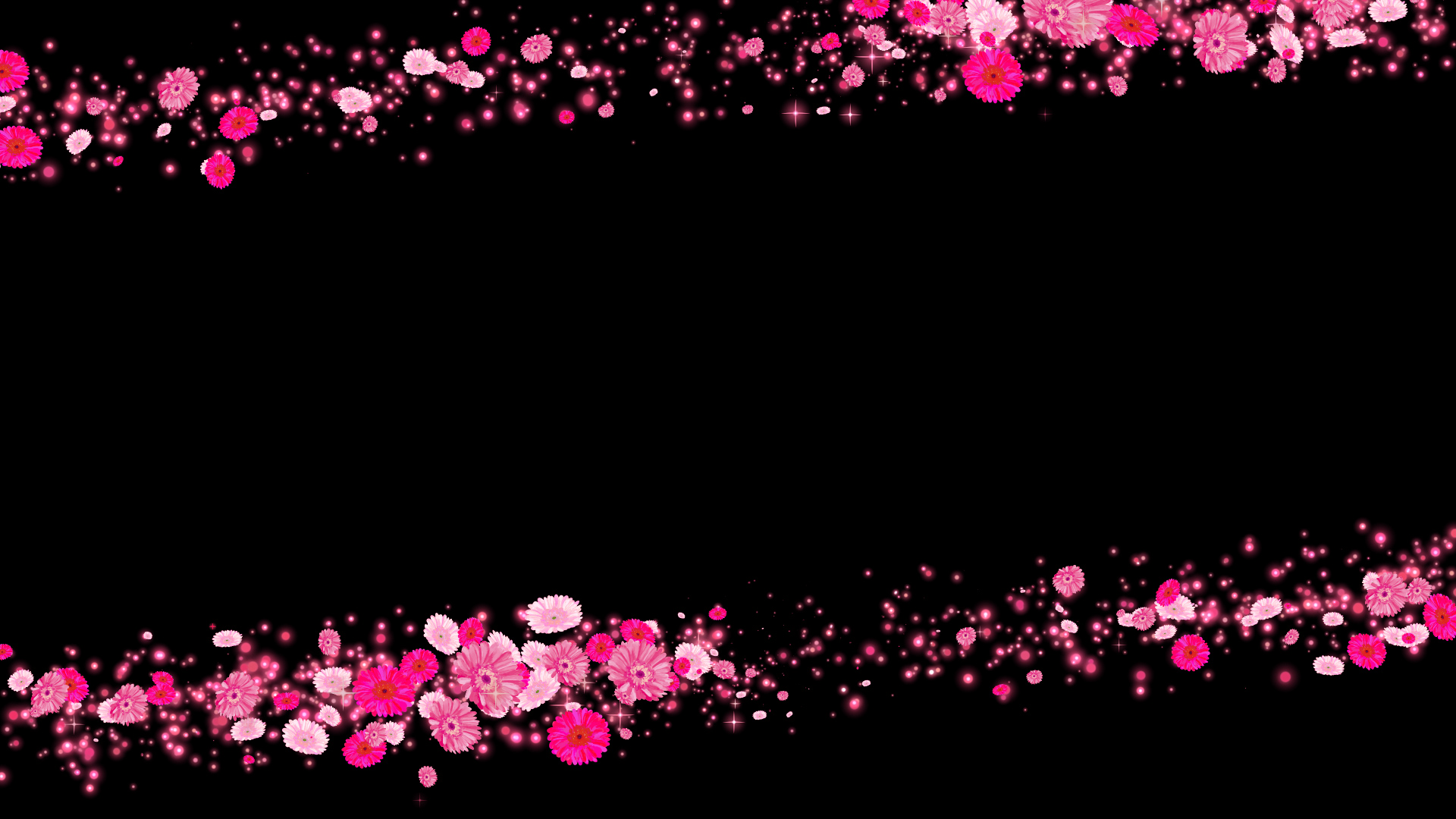 ピンクのガーベラ（フレーム）-黒い背景