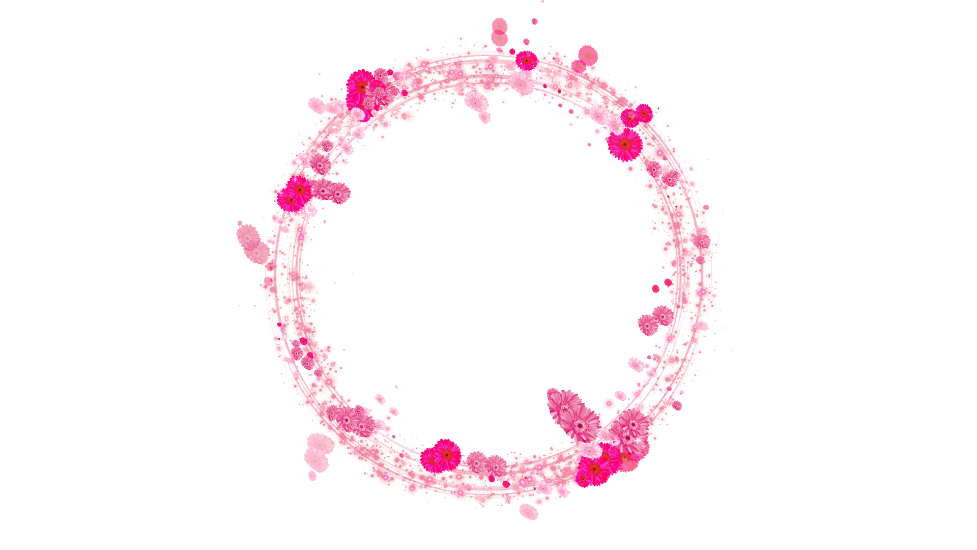 光るピンクのガーベラのリース-白い背景