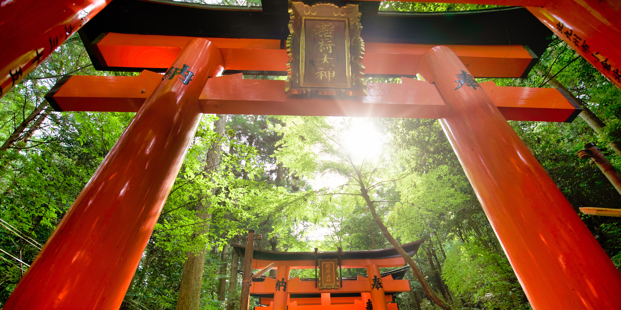 旅行動画制作・ビデオ編集-大神神社巡り