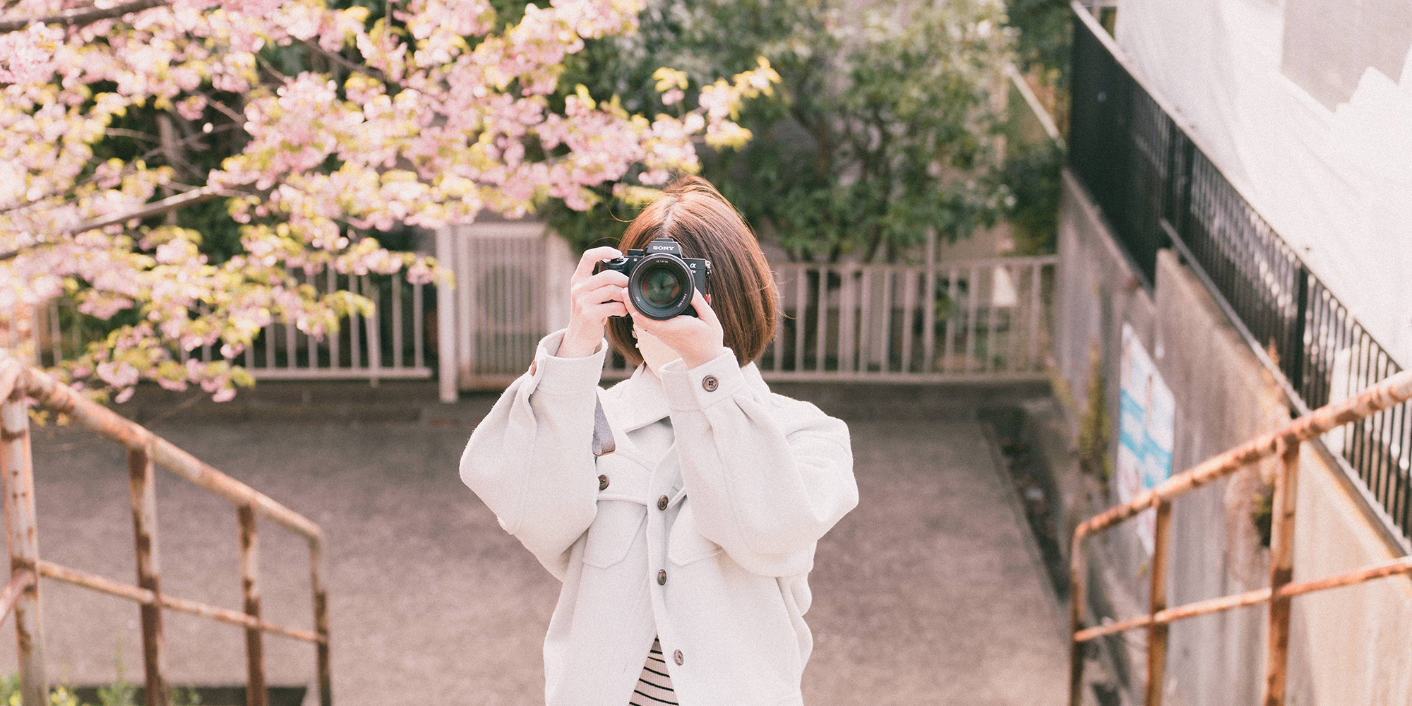 桜の写真を撮る女性