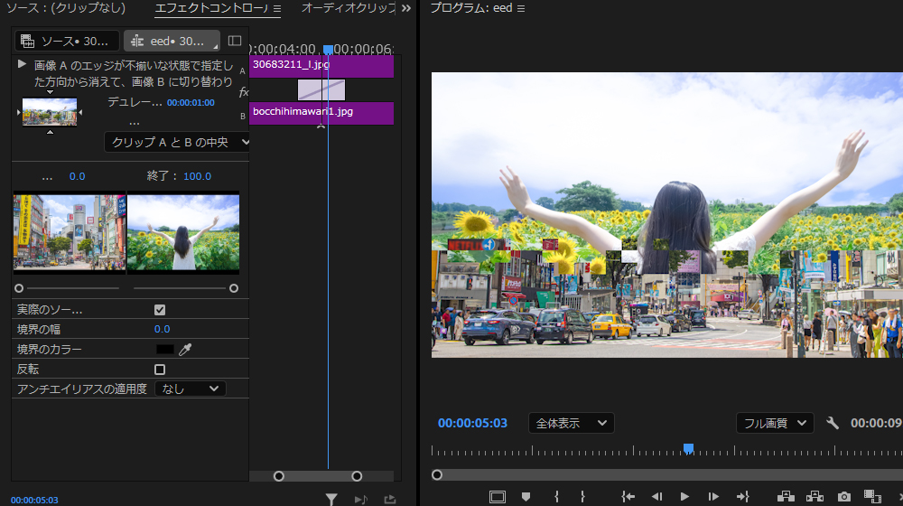 Premiere Proのビデオトランジション【ワイプ(ランダム)】の使用例