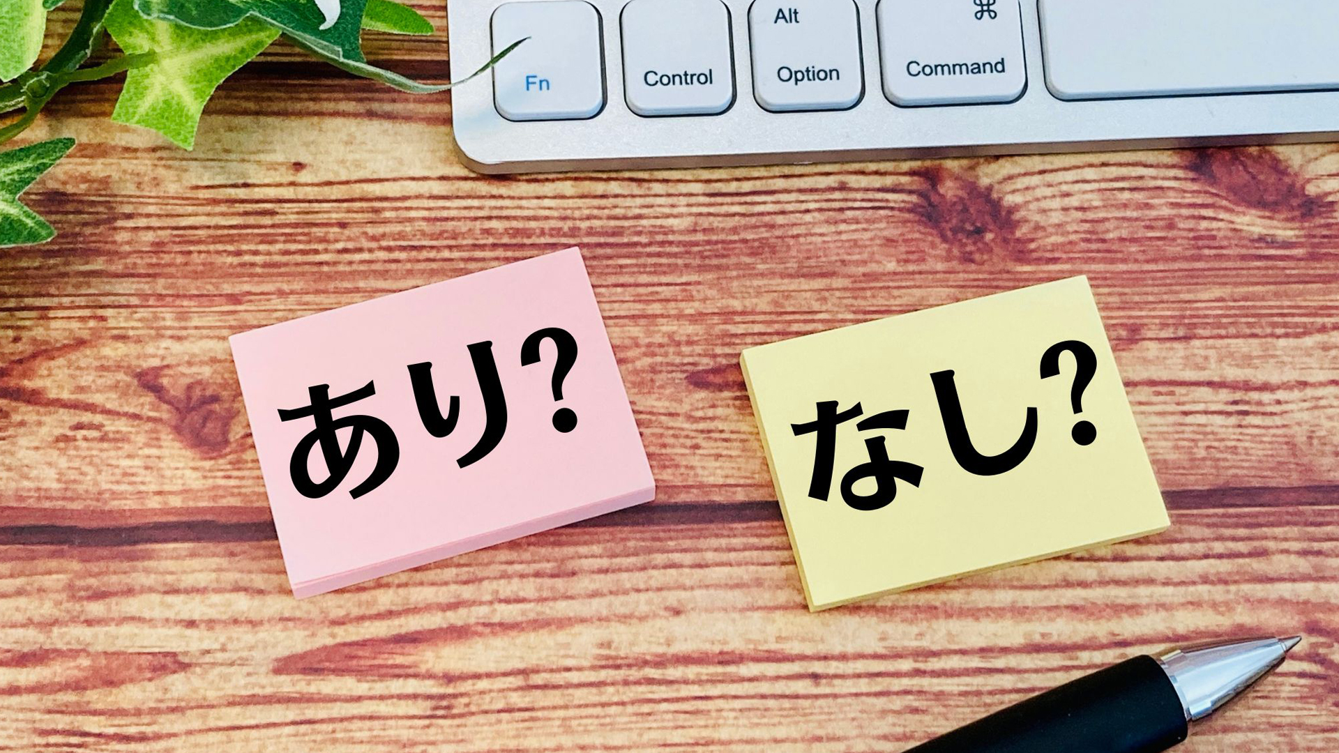 動画として有/無