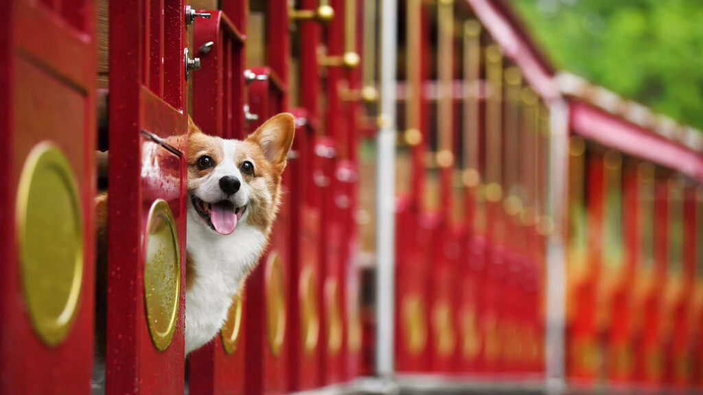 ペットの動画制作・ビデオ編集(列車に乗る愛犬)