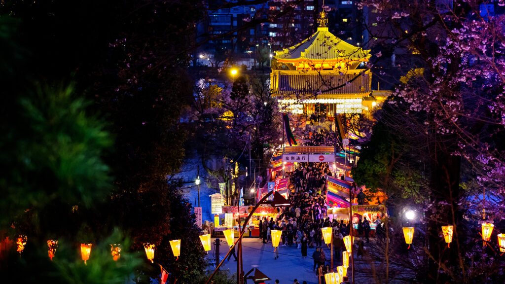 イベント・祭り系動画制作・ビデオ編集(神社のライトアップ)