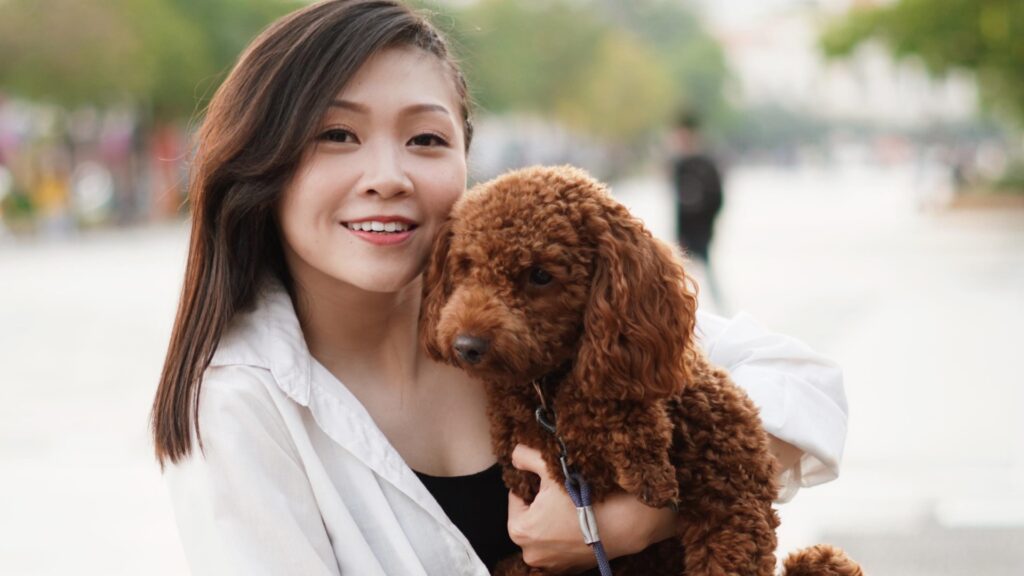 ペット動画制作・ビデオ編集（愛犬を抱っこ）