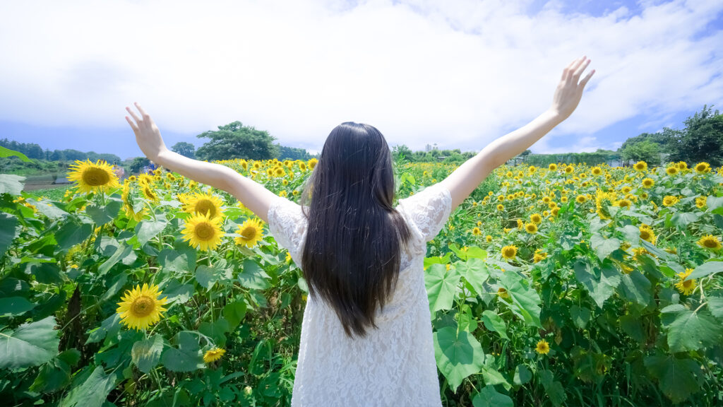 ライフハック動画制作・ビデオ編集（ひまわり畑散策）